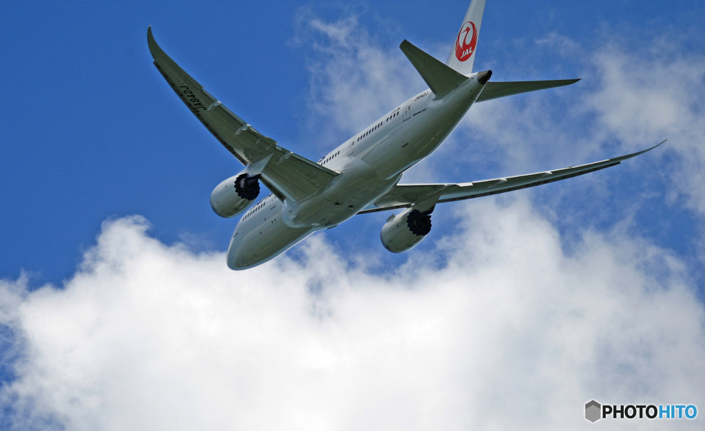 離陸 JAL 787-8 JA842J