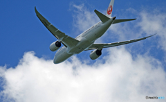 離陸 JAL 787-8 JA842J