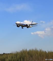 着陸 ANA 777-381 JA733A