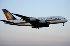 着陸(202-3)ｼﾝｶﾞﾎﾟｰﾙ・ｴｱ　Airbus A380-841　