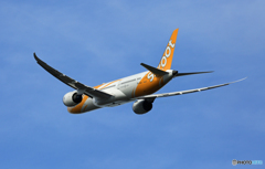 飛び立ち　scoot 787-9 9V-OJD