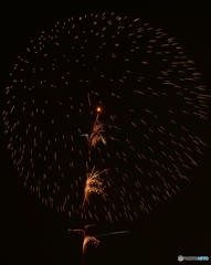 ☮　休憩タイム（181）花火　☮　拡大してね！