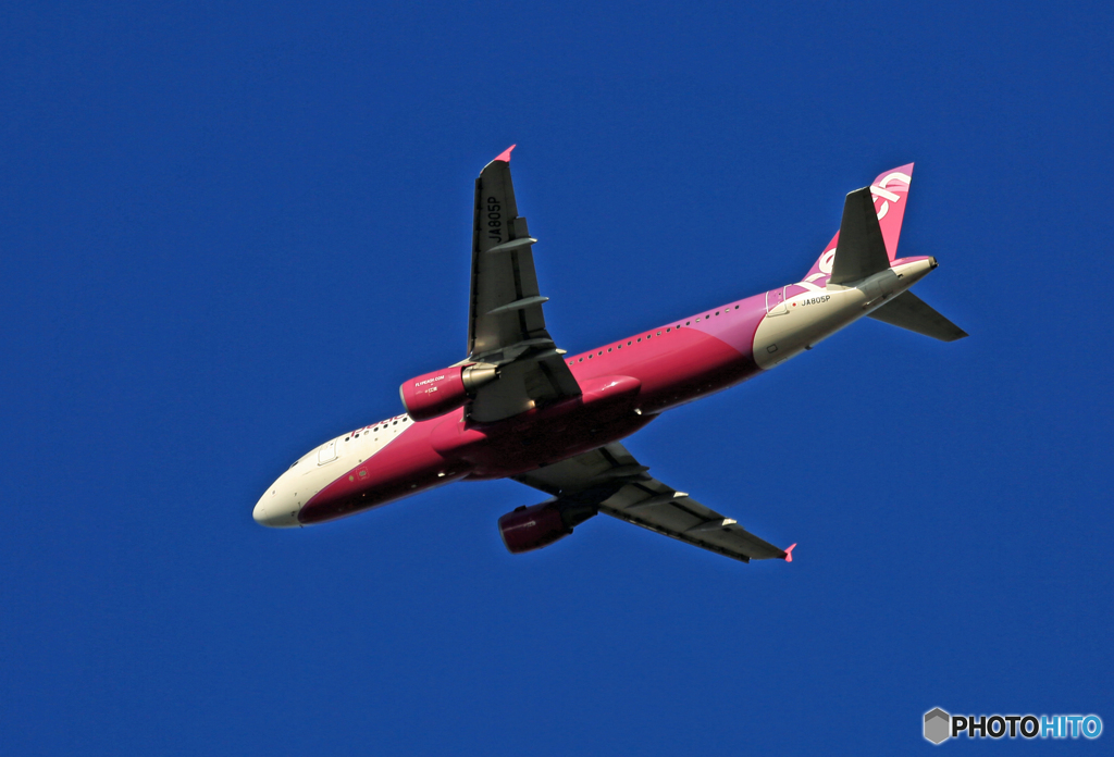 「スカイ」 peach A320-214 ☀