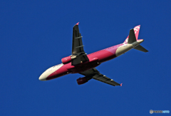 「スカイ」 peach A320-214 ☀