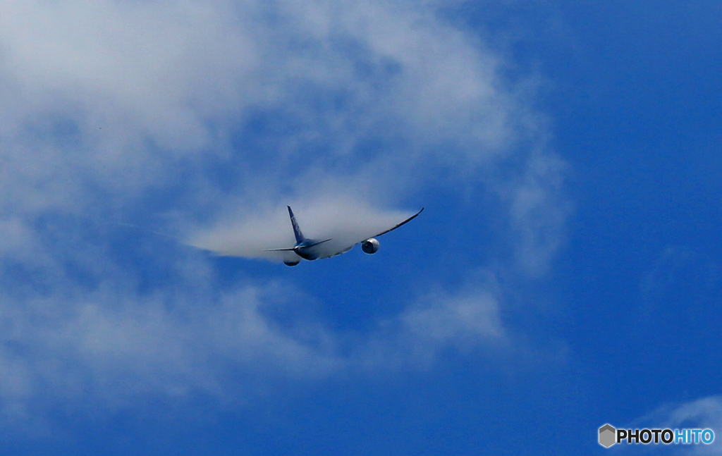 出発 ANA 787-8 JA806Aべいぱー