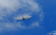 出発 ANA 787-8 JA806Aべいぱー