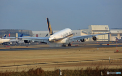 着陸 Singapore A380-841 9V-SKN