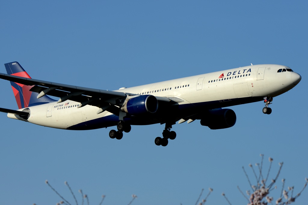 到着 DELTA A330-323