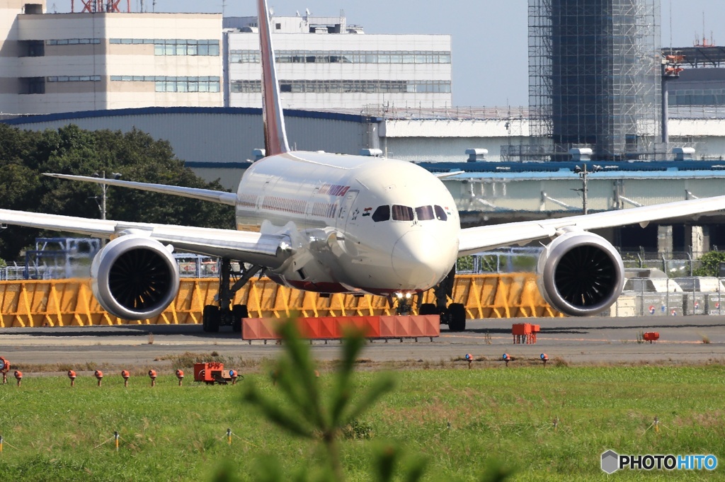 ☮AIR INDIA 787-8 VT-ANQ