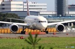 ☮AIR INDIA 787-8 VT-ANQ
