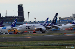 「SKY」 ANA 787-8 [SABA2] JA802A 離陸