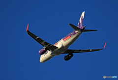 「良い天気」 Hkexpress A320-232 B-LCC
