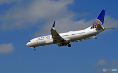 [青い空]　UNITED 737-800 N37293