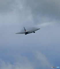 翼に...「雲」を...乗せて？？