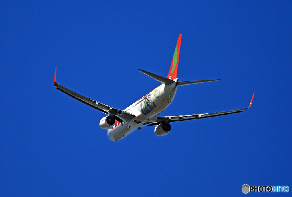 ☀t'way Why? 塗装機 B737-800 HL8024☮