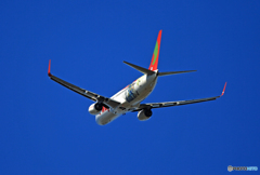 ☀t'way Why? 塗装機 B737-800 HL8024☮