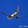 ☀t'way Why? 塗装機 B737-800 HL8024☮