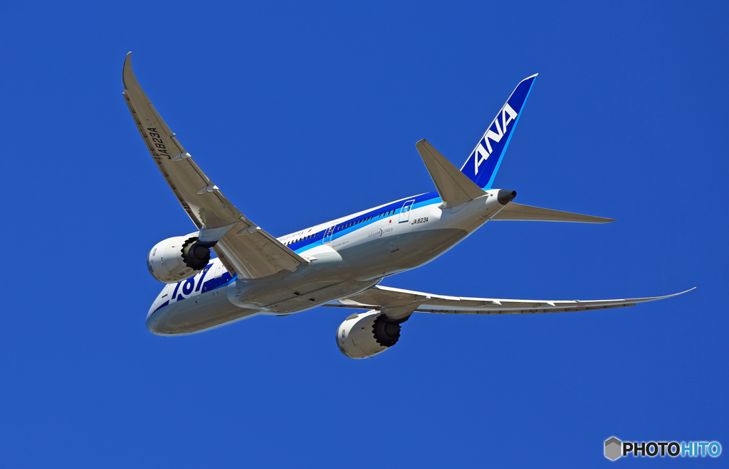 ANA 787-8 JA823A 飛行 