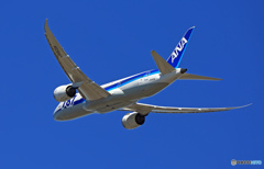 ANA 787-8 JA823A 飛行 