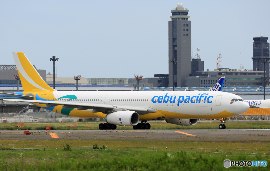 　「SKY」　CEBU A330-343 RP-C3347 離陸