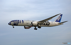 ✈　「R　2　-　D　2」　STAR WARS✈