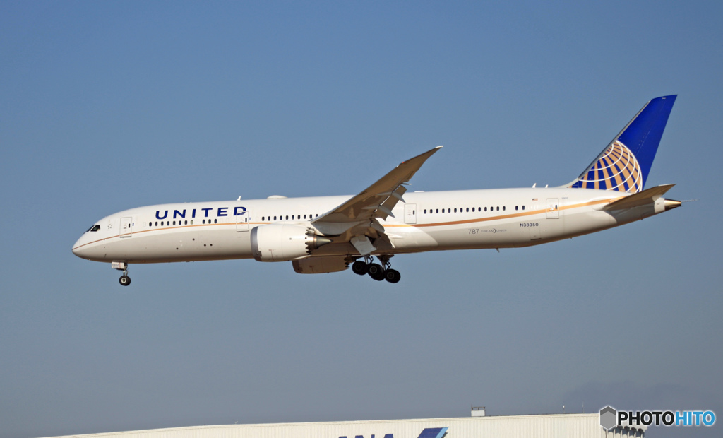 到着 UNITED 787-9 N38950