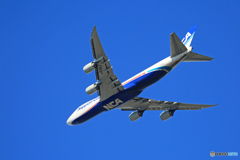 飛び立ちジャンボ保存委員会/NCA 747-8KZF JA15KZ