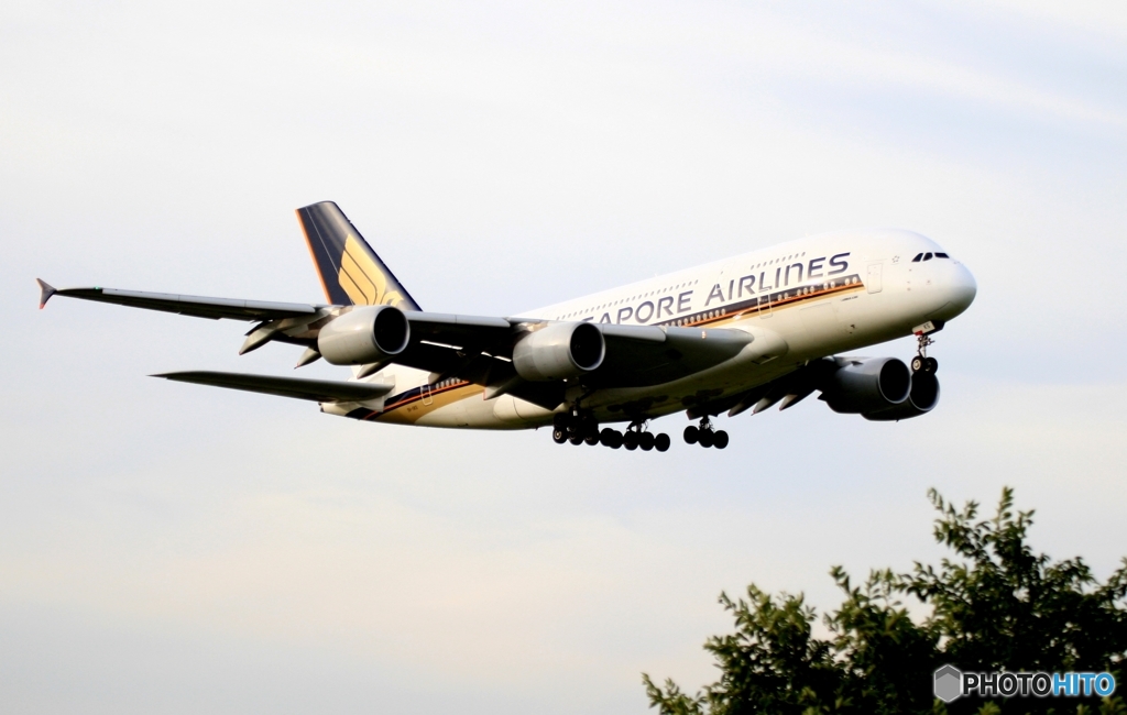 着陸　Singapore A380-841