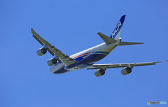 NCA 747-8KZF JA11KZ 出発 