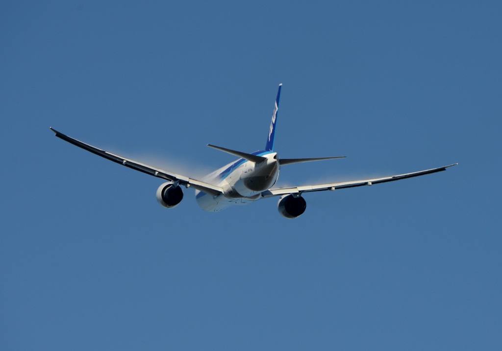 離陸(396)All Nippon Air 777ﾍﾞｲﾊﾟｰ？