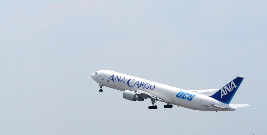 ANA DCS 767