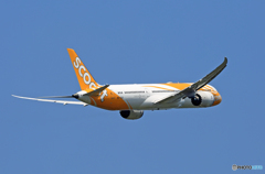 scoot 787-9 9V-OJE 出発 