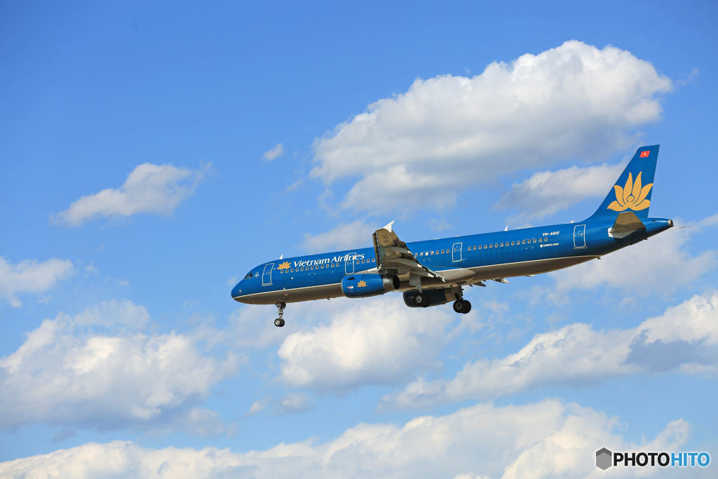 着陸☀ Vietnam A321-281 VNA610☁