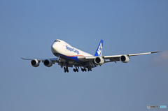NCA 747-8KZF JA11KZ 着陸 