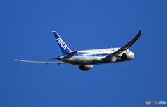 飛び立ち　ANA 787 JA805A