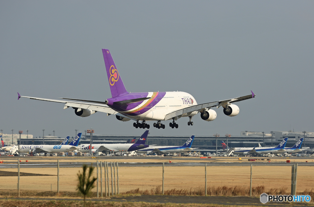 「スカイ」 Thai A380-841 HS-TUE 着地前