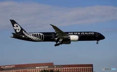 「Ａｌｌ Ｂｌａｃｋｓ」　とは？