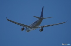 飛び立ち　vietnam A330-200 