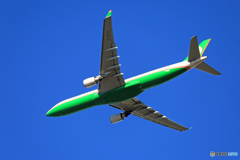 「青い空」が一番 EVA A330-302 B-16336