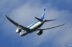ANA 787-8 離陸 