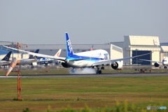 到着　ANA 787-8 JA820A