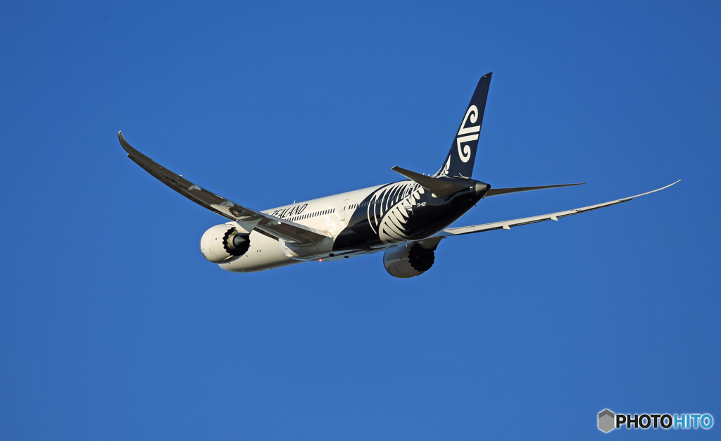 「ぶるー」Air New Zealand B787-9 ZK-NZF☀