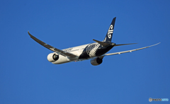 「ぶるー」Air New Zealand B787-9 ZK-NZF☀