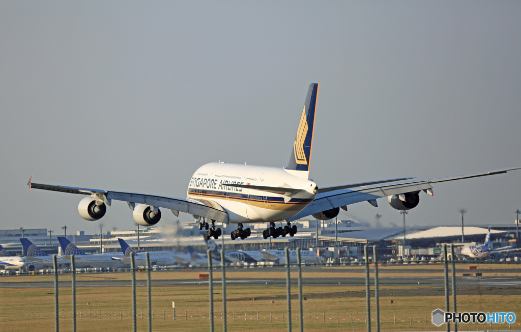 到着 Singapore A380-841 9V-SKT