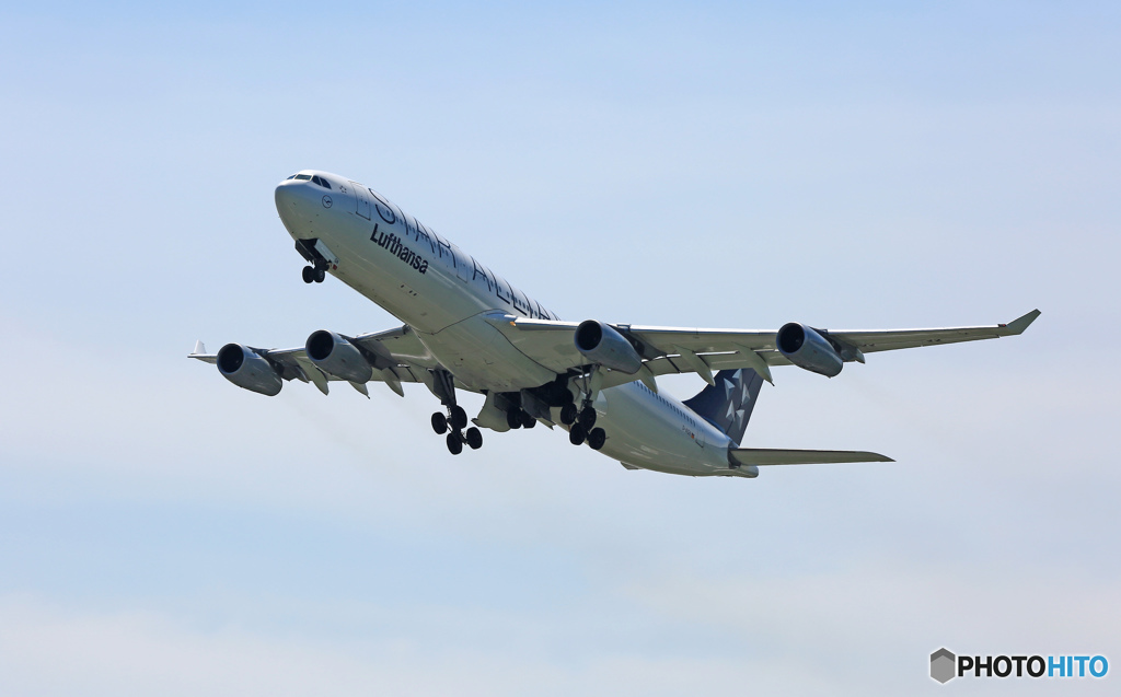 離陸　Lufthansa STAR A340-313 D-AIGN