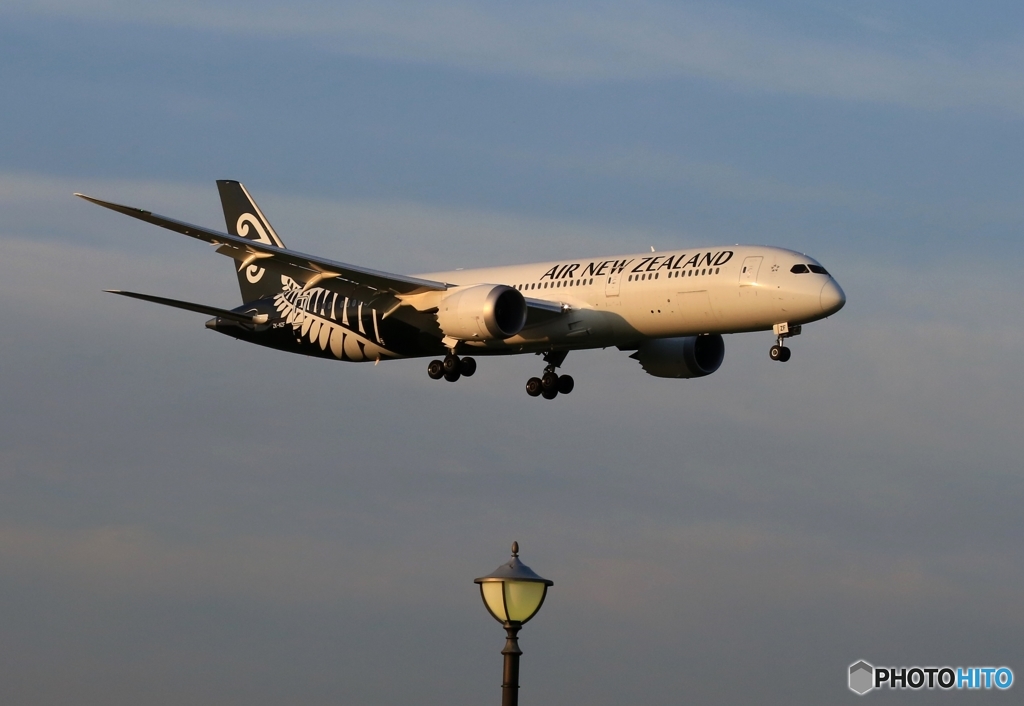 到着 Air New Zealand 787-9 ZK-NZF　