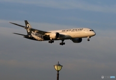 到着 Air New Zealand 787-9 ZK-NZF　