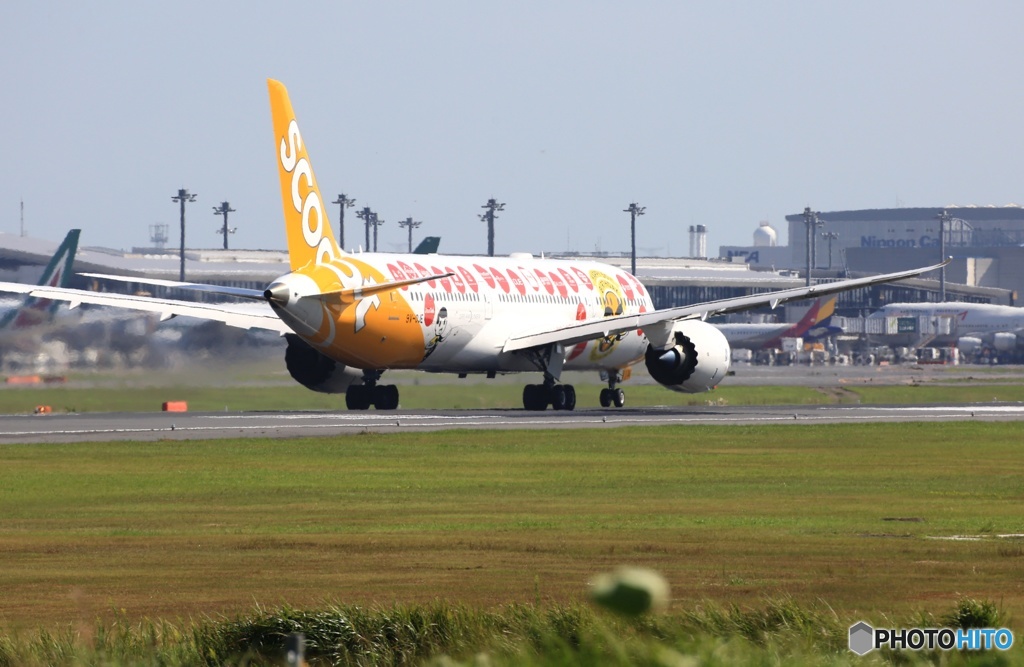 離陸  scoot 787-9