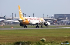 離陸  scoot 787-9