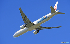 「青い空」JAL JET KEI 767-381 JA733J